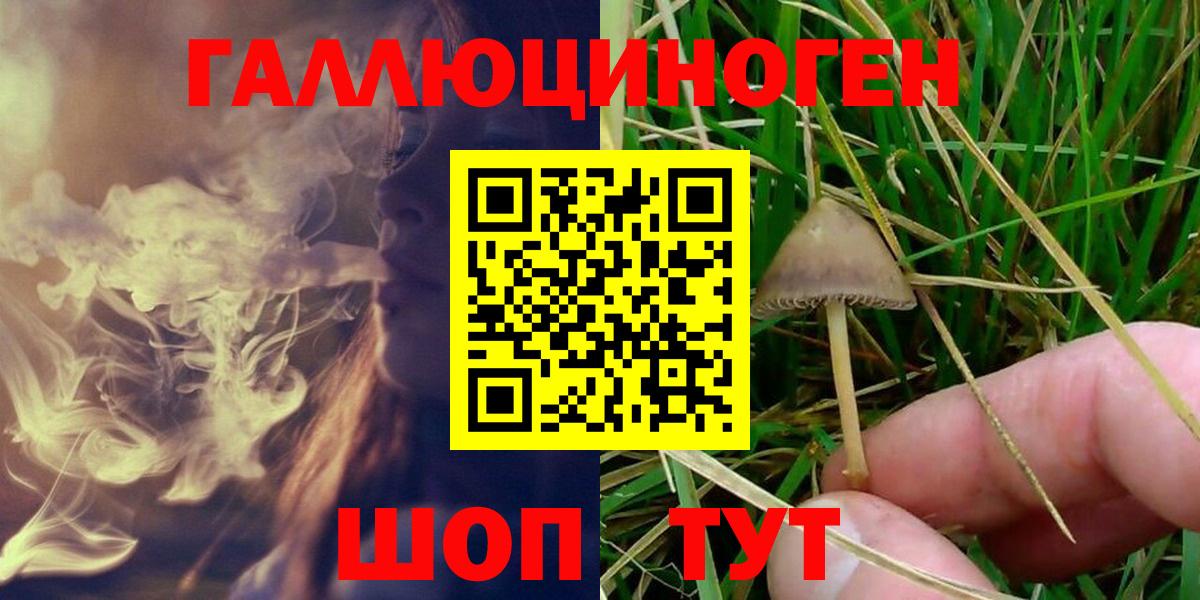 Галлюциногенные грибы Magic Shrooms  Галлюциногенные грибы Psilocybine cubensis  Вход с VPN  Туймазы 